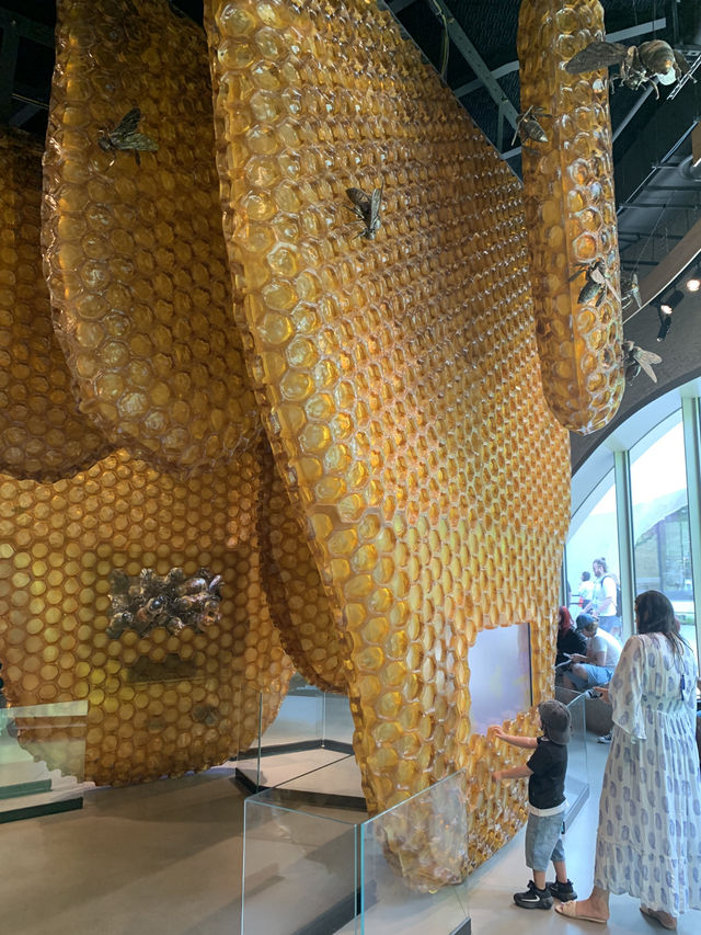 自然歷史博物館