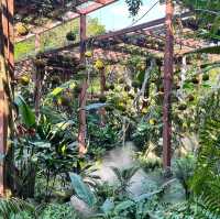 🌿 Escape into Nature at Qingxiu Mountain, Nanning (南宁青秀山)
