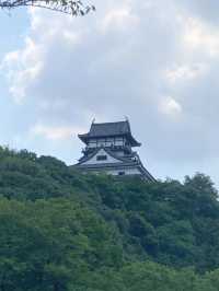 【国宝】犬山城から見下ろす犬山の絶景