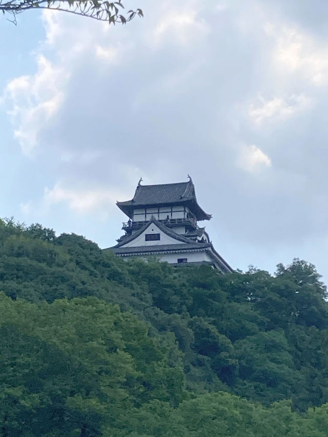 【国宝】犬山城から見下ろす犬山の絶景