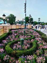 พิกัดถ่ายรูปสวยดิสนีย์แลนด์ฮ่องกง