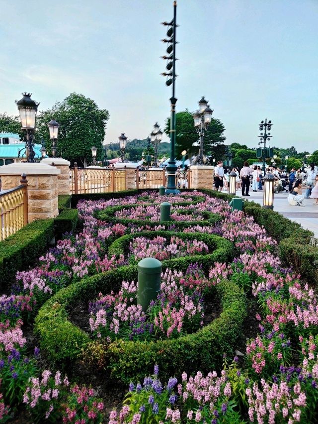 พิกัดถ่ายรูปสวยดิสนีย์แลนด์ฮ่องกง