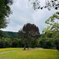 Kaitoke Regional Park – Upper Hutt, Wellington Region
