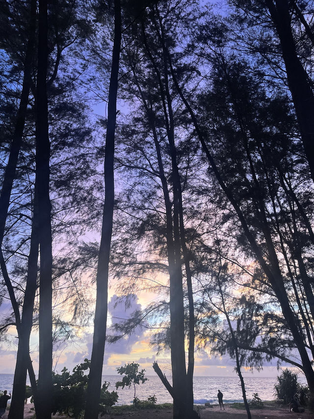 หาดไม้ขาว หาดไม้ขาว