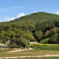 A Stroll Through Yangdong Folk Village