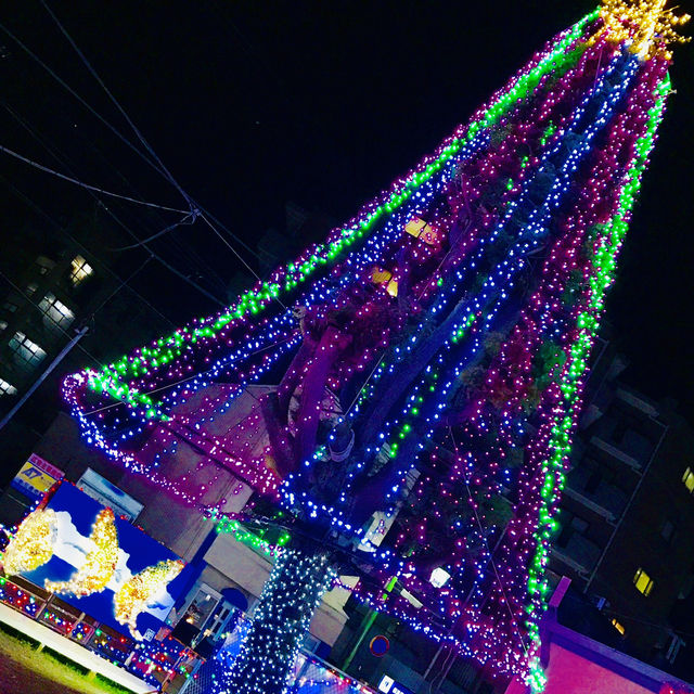 駅前が光の楽園に変身！東逗子駅前イルミネーション「光のクリスマス」2025