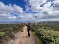 Western Australia-Wind Farm
