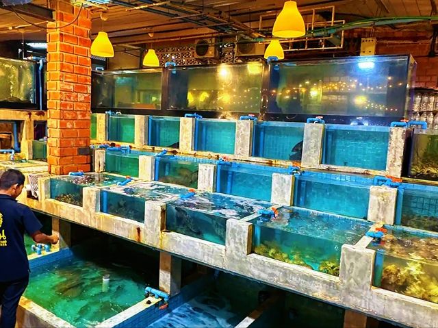 Pupen Seafood Pattaya – Classic Thai Seafood Experience