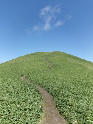 Venus Line's Stunning View: Mount Mitsumine