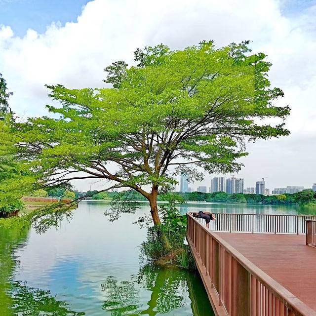 陰雨山水~漫步東灘濕地   陰雨山水~漫步東灘濕地