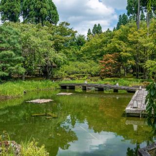 清幽な日本庭園と草加公園