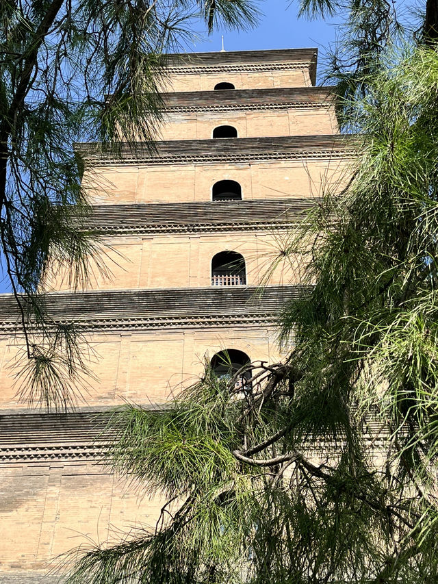 🌆 Big Wild Goose Pagoda — More Than Just a Pagoda