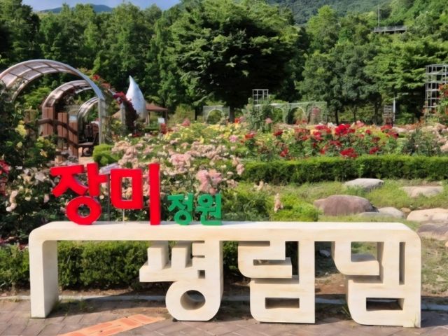 🌹 평림댐 장미원에서 만난 향기로운 힐링