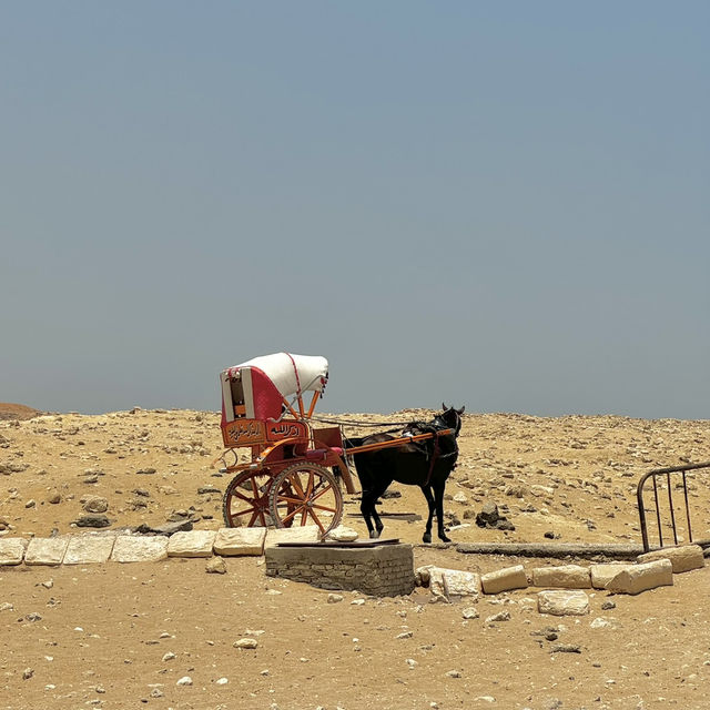🇪🇬ギザのピラミッド群は古代エジプトの神秘！🗿🏜️✨