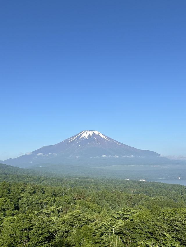 綺麗な富士山見たい人必見‼︎富士山映えスポットを紹介🗻