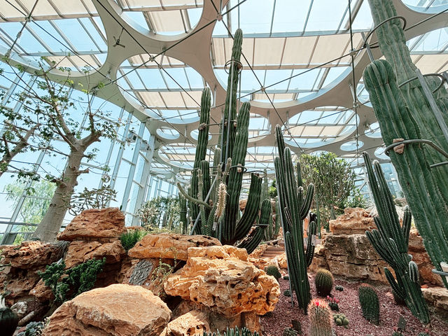🌵【上海新地標！亞洲最大溫室花園「上海溫室花園」開放啦～沙漠雨林一次看夠，隨手一拍就是科幻大片！】🌵