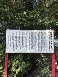 【宮崎】菅原神社