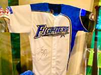 Baseball Hall of Fame and Museum – A Journey Through Japan’s Baseball Legacy