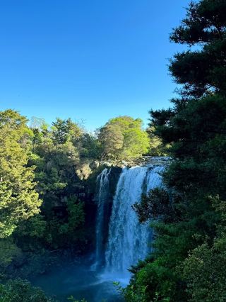 Rainbow Falls – Majestic Waterfall Retreat in New Zealand
