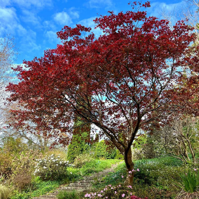 Ayrlies Garden – Auckland’s Subtropical Paradise