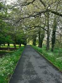 Sophia Gardens