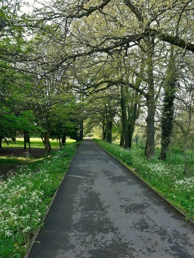 Sophia Gardens