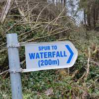 Ballard Waterfall Forest Recreational Area – Hidden Cascades & Woodland Loops of North Cork