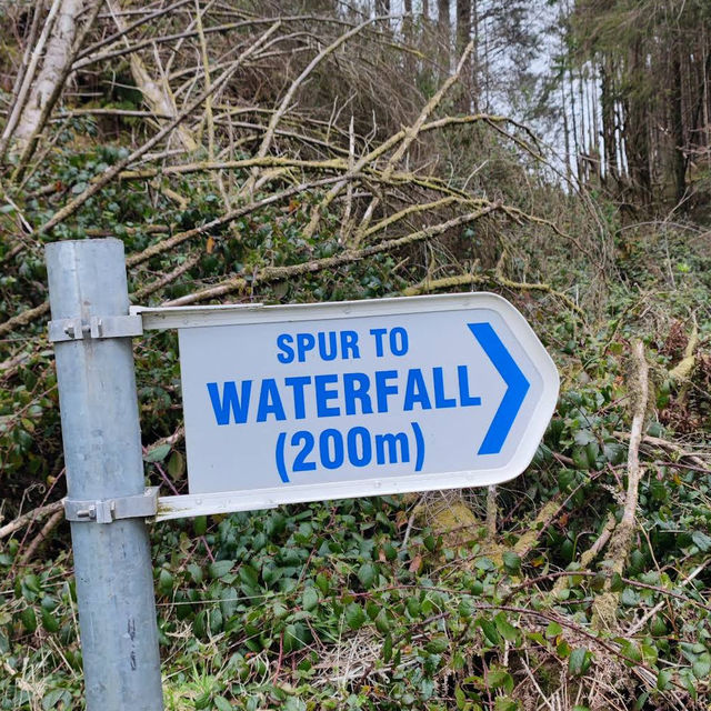 Ballard Waterfall Forest Recreational Area – Hidden Cascades & Woodland Loops of North Cork