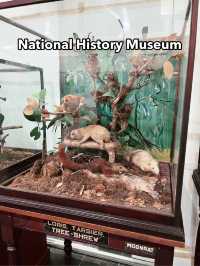 Must-Visit: National History Museum Kuching