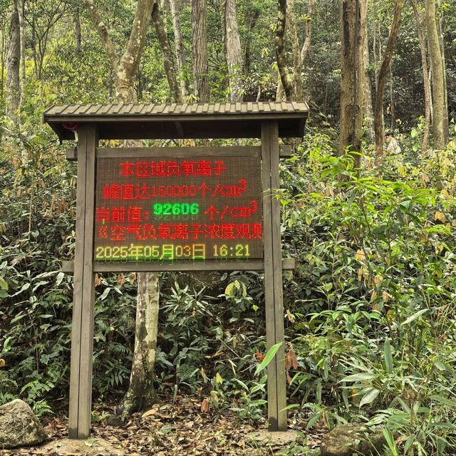 天然氧吧！🌿廣西賀州姑婆山旅遊區
