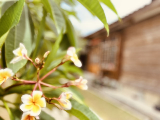 「老屋不只是建築，而是歷史留下的心跳。」