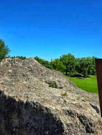 🌿 Jardin Botanique de Bordeaux – A Living Museum of Plants 🌸