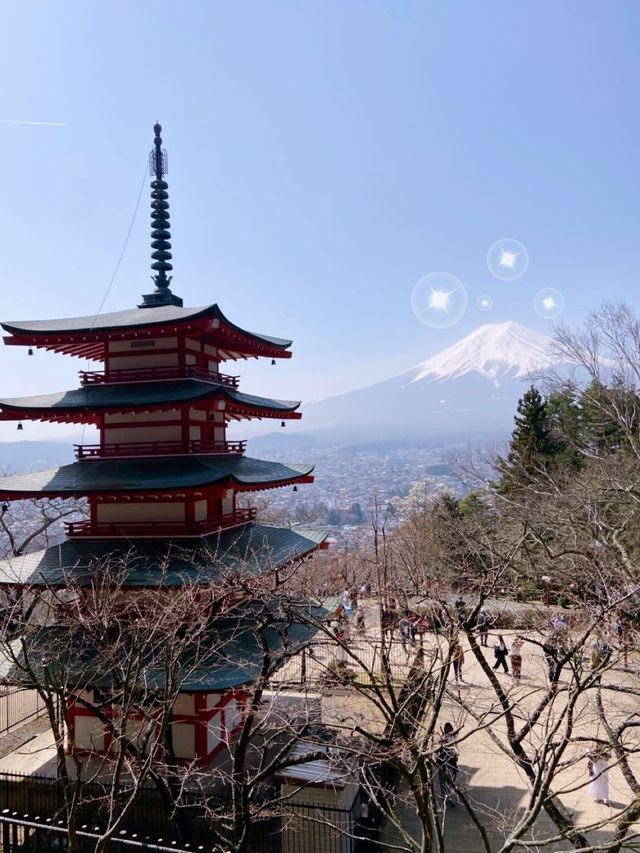 Chilling at Mount Fuji Chilling at Mount Fuji