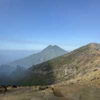 Ijen Blue Magic✨  
