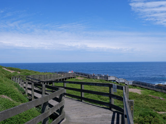 🐾 รีวิว: The Nobbies – จุดชมวิวและธรรมชาติ