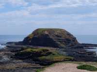 🐾 รีวิว: The Nobbies – จุดชมวิวและธรรมชาติ