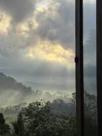 峇里島秘境竹屋住體驗🌿｜睡在原始森林看日出
