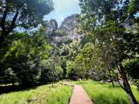 Into the forest Krabi