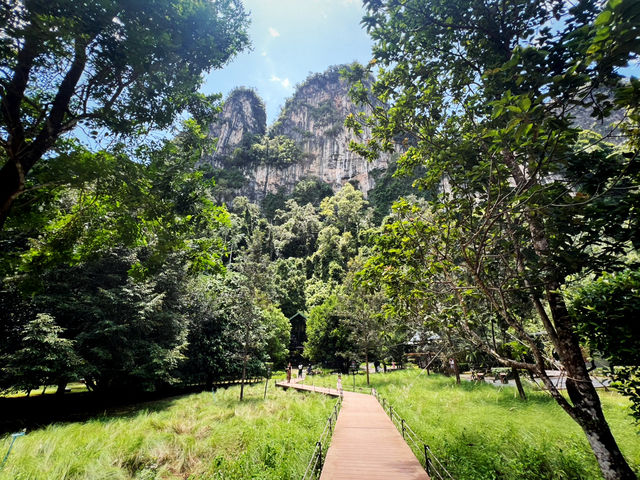 Into the forest Krabi