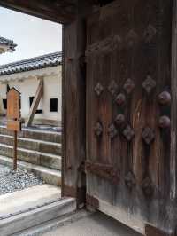 【香川旅行】松山市のシンボルといえば松山城