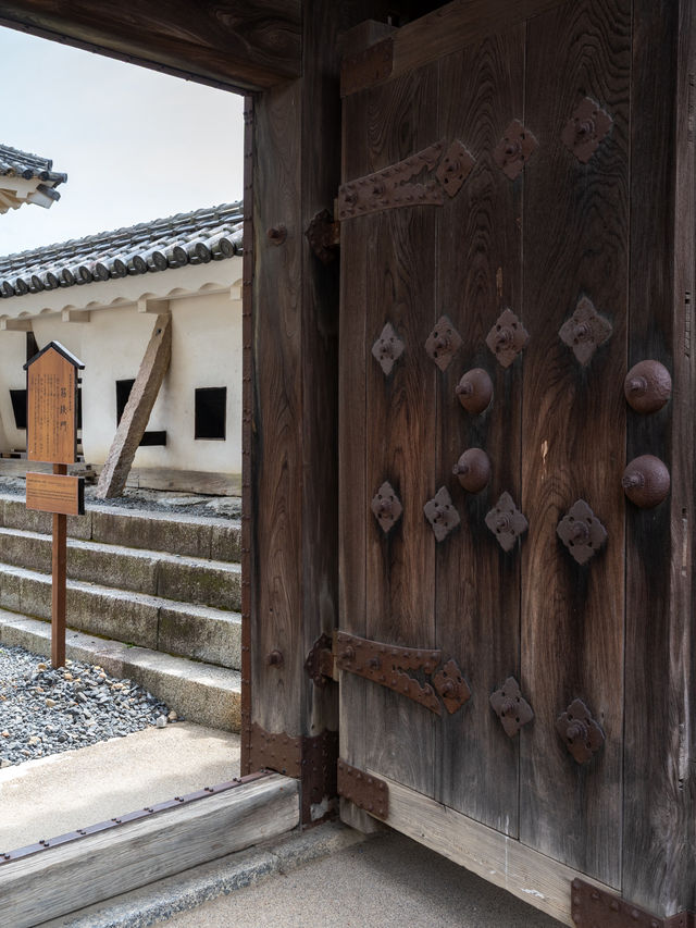【香川旅行】松山市のシンボルといえば松山城