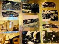 The Pokfulam Farm – Where Heritage Meets Nature