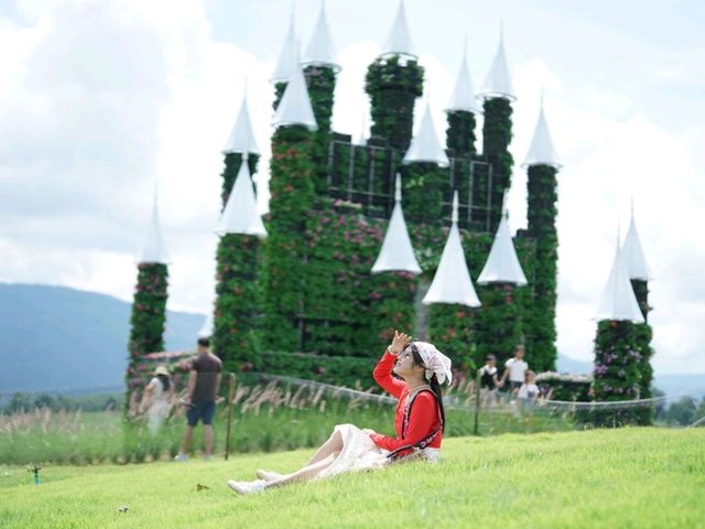 เคมงอัลปาก้า เขาใหญ่