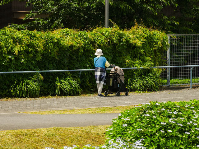 สวนสาธารณะวิวโตเกียวสกายทรี 🌳🇯🇵