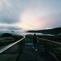 The Blow Holes