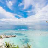 Island Pulse, Local Soul