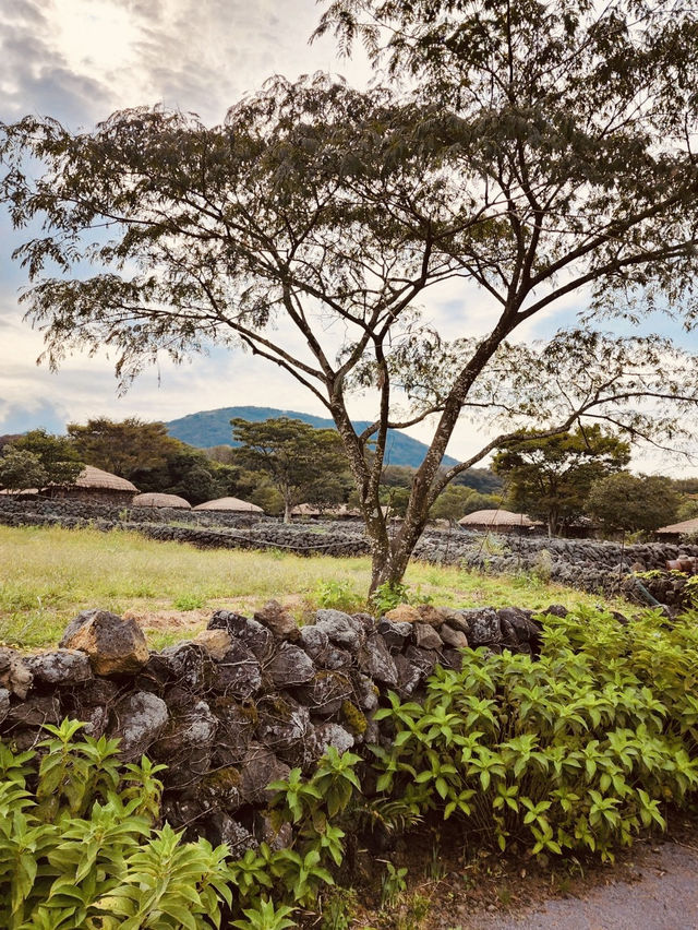 An Educational Journey Through Jeju's Folklore