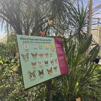 Desert Botanical Garden