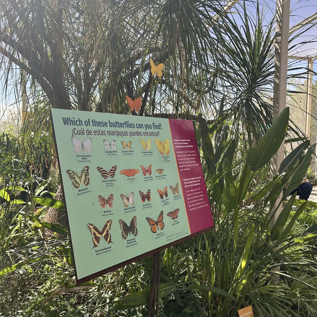 Desert Botanical Garden