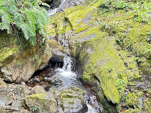 La Vallée de Ferney - Beautiful walk in this valley